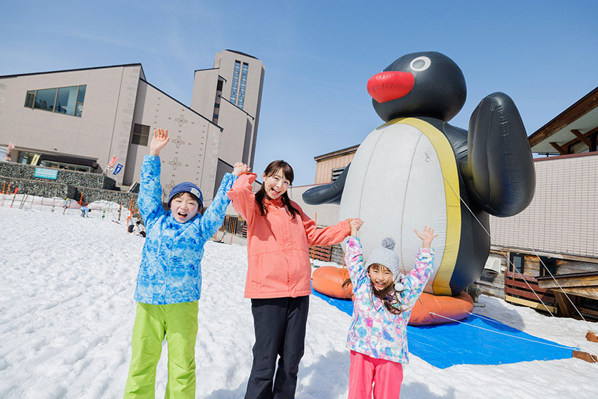 新潟県 NASPA スキーガーデン 平日リフト1日券 ペア10組20名様