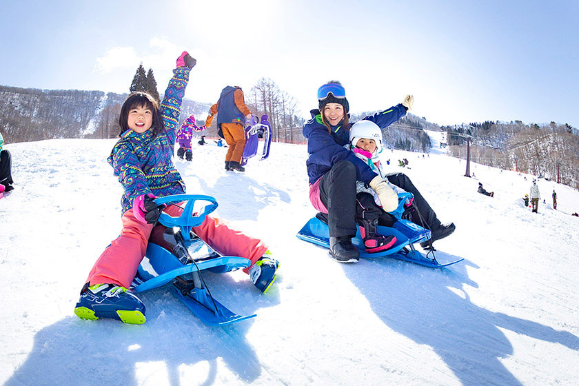 長野県 タングラムスキーサーカス リフト1日券 ペア10組20名様